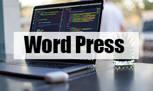 WORDPRESS